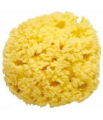 Pigeon Baby 100% Natural Sponge for bath Pigeon Baby 100% Natural Sponge for bath