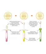 Training Toothbrush Set 6 to 18 months Training Toothbrush Set 6 to 18 months